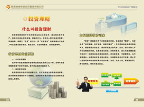 福建省梧桐樹投資管理圖冊(cè) 投資管理的理論與實(shí)踐